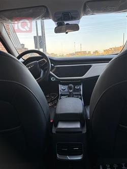 شيري أريزو 6